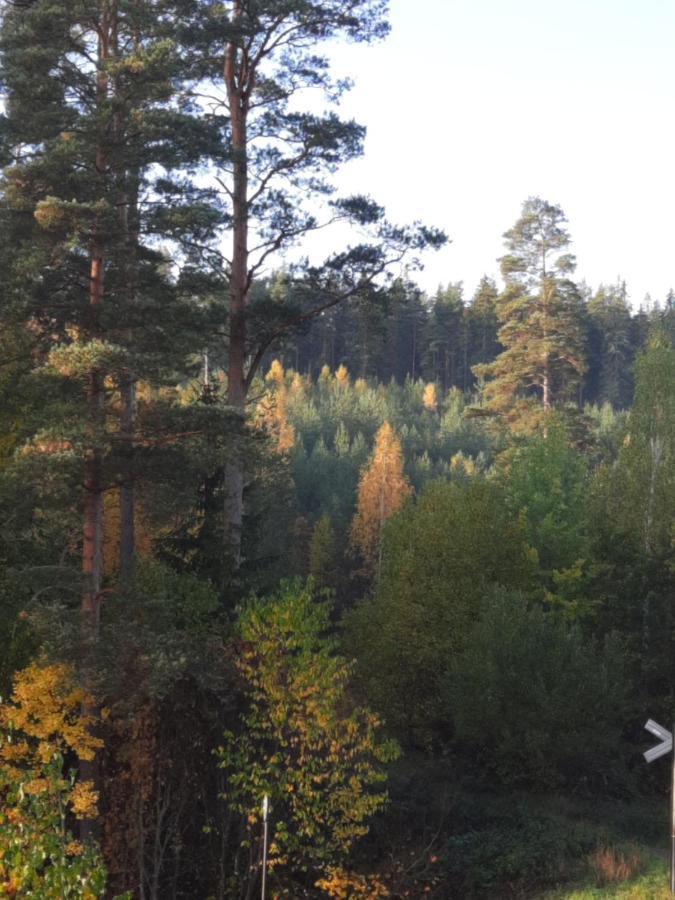 Aelghuset Silverdalen Exteriör bild